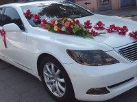 Аренда авто, пассажирские перевозки