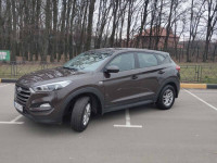 автопрокат в г.Киев, любые классы авто, около 50 авто в парке.