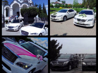 Аренда автобуса, перевозка, трансфер, бус, автобус