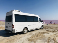 Заказ микроавтобуса MERCEDES SPRINTER с водителем Одесса