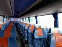 Автобус на замовлення/Пасажирські перевезення/50 місць