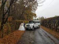 Міні лімузин Мерседес Гелік Кубік 6х6
