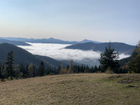 Пасажирські перевезення