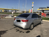 Аренда авто с водителем/пассажирские перевозки/поездки по Украине