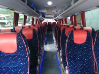 Перевозка пассажиров/ Аренда автобуса/Заказ автобуса