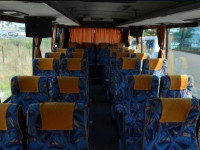 Перевезення дітей/ Оренда автобуса/Автобус на замовлення