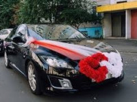 Пассажирские перевозки по Украине. Трансфер/встреча. Аренда, прокат авто на свадьбу.